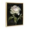 Stupell Industries Peony on Black Floater Framed Canvas Wall Art Design by Danhui Nai